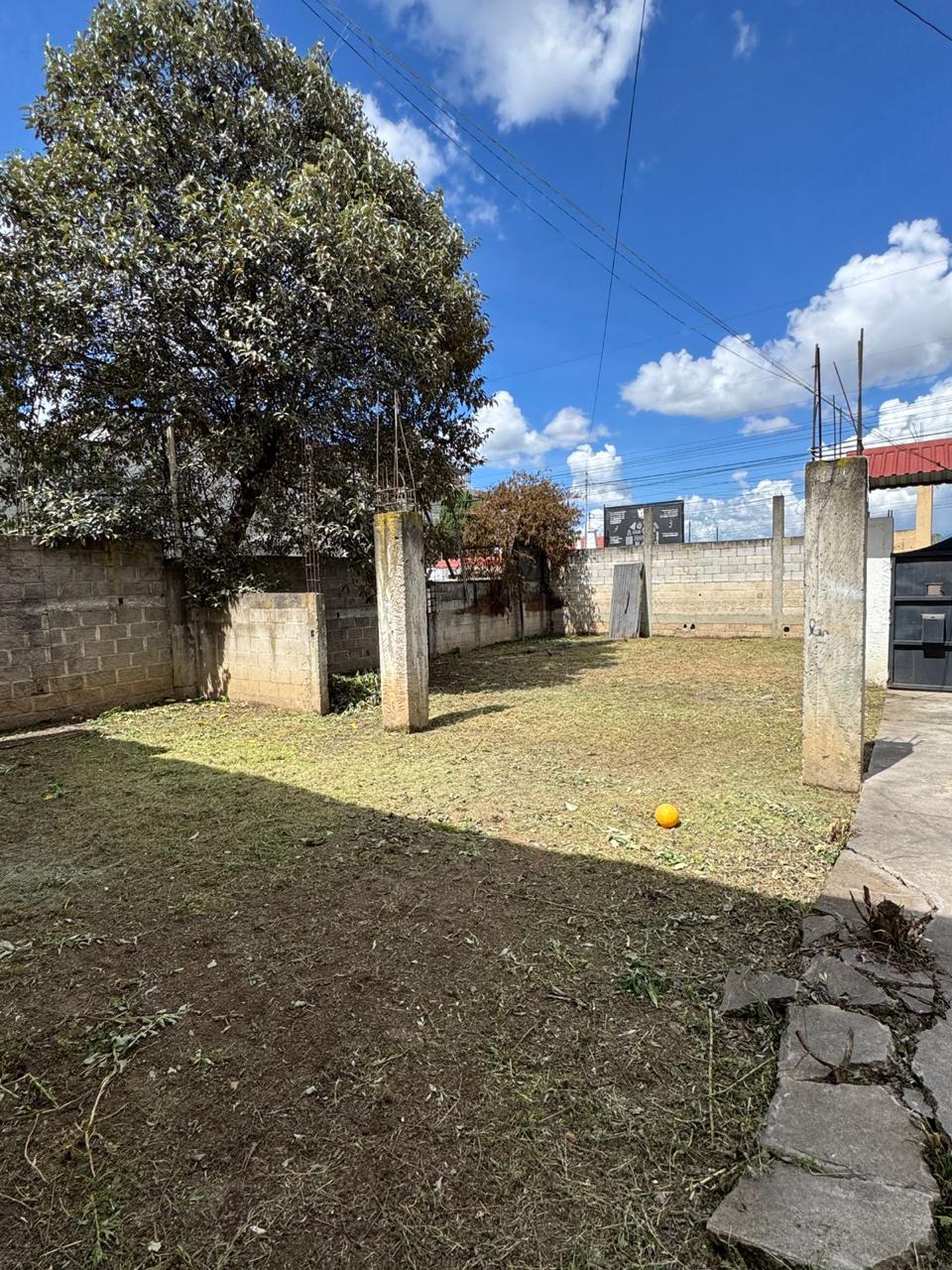 Patio trasero con árbol